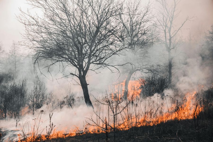 Major wildfire erupts in Pelathousa Paphos firefig