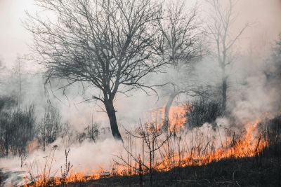 Major wildfire erupts in Pelathousa Paphos firefig