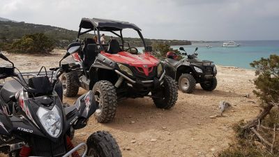 Exciting 3 Hour Safari Adventure