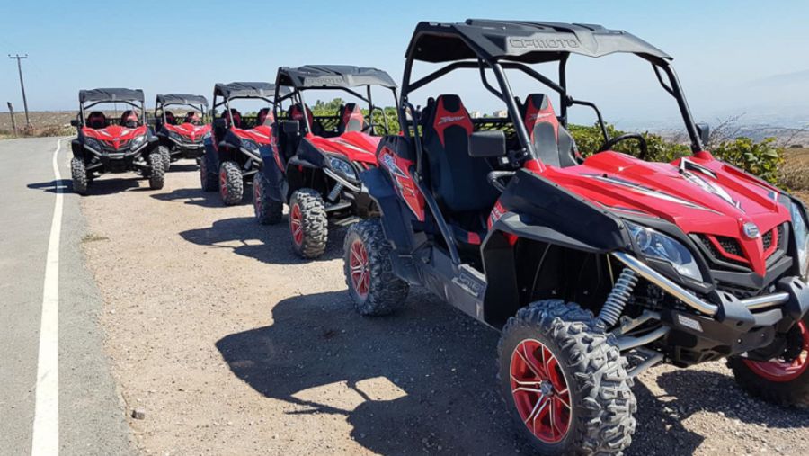 Thrilling 5 Hour Safari Expedition