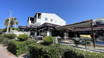 Irresistible Fish Delights at Rimini Resto Bar in 