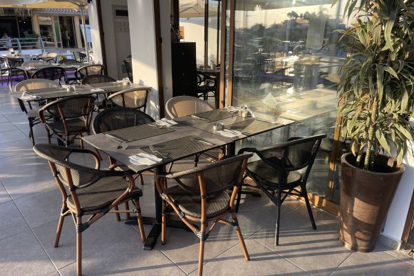 Where Every Meal Feels Like Home