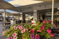 Authentic Pizza Flavors in Coral Bay A Slice of He