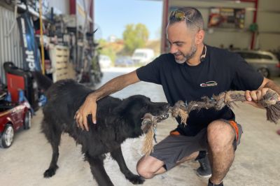 Reliable Mercedes Experts Polis Count on Hoppis Au