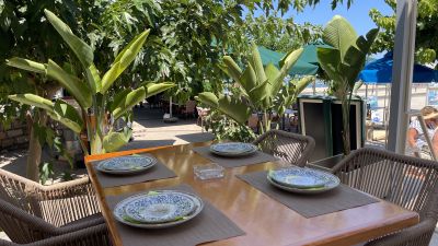 Affordable Dining with Fusion Flavors in Polis Cyp