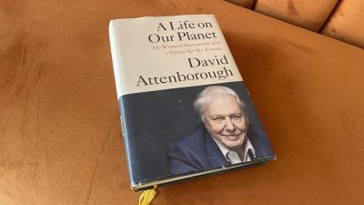 Discover Diverse Music Lineup at Groovy Garden in 