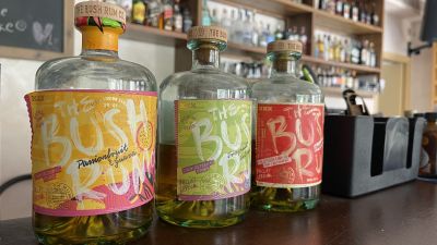 Rock Your Night at Paphos with Dynamic Live Perfor