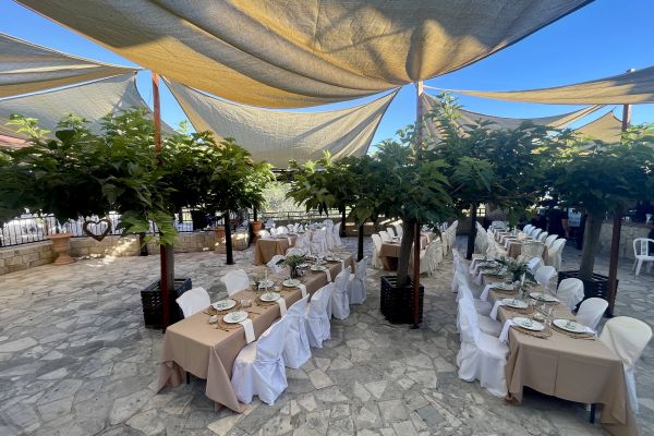 Unforgettable Events at Mulberry Terrace