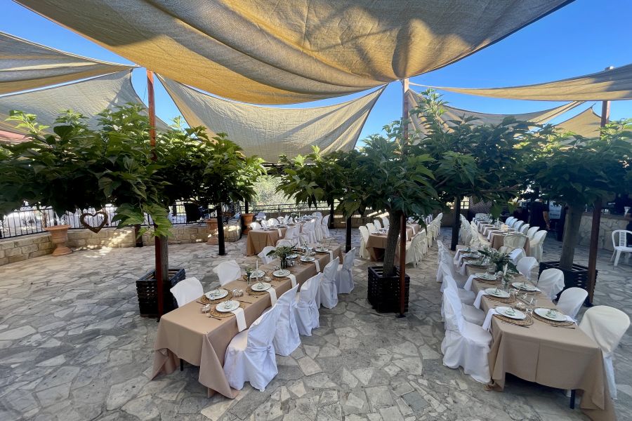 Unforgettable Events at Mulberry Terrace