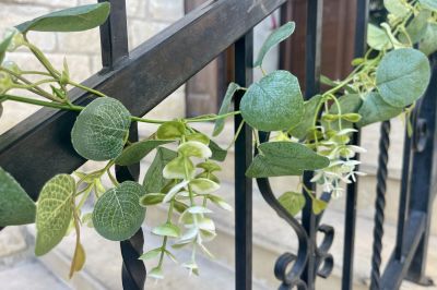 Upscale Event Equipment Rental in Coral Bay Mulber