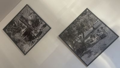 Acropolis Tavern Serving up Delicious Greek Specia