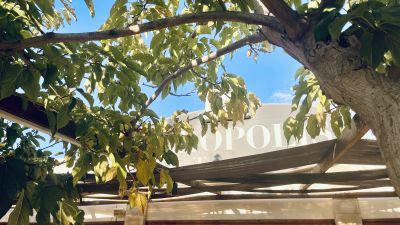 Top rated Greek restaurant Paphos Acropolis Tavern