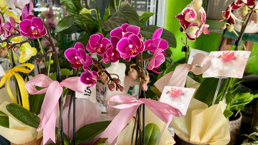 Elevate Your Events with Kissos Flowershops Profes