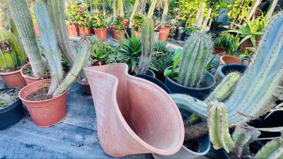 Garden Styling Services