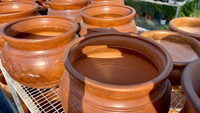 Stylish Outdoor Plant Design Empa Enhance Your Out